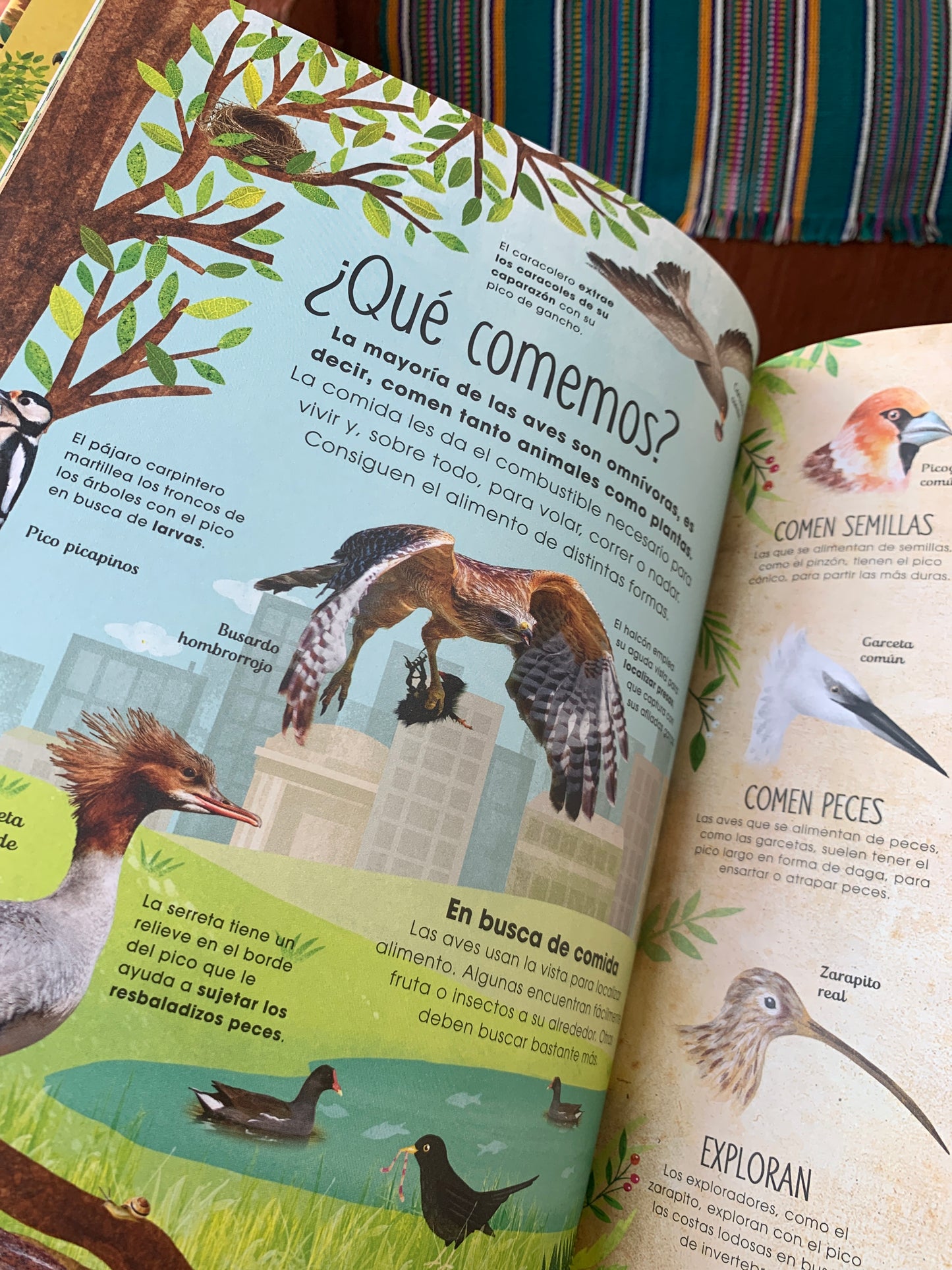 La vida secreta de las aves (The Extraordinary World of Birds) (The Magic and Mystery of the Natural World) (Spanish Edition) by David Lindo