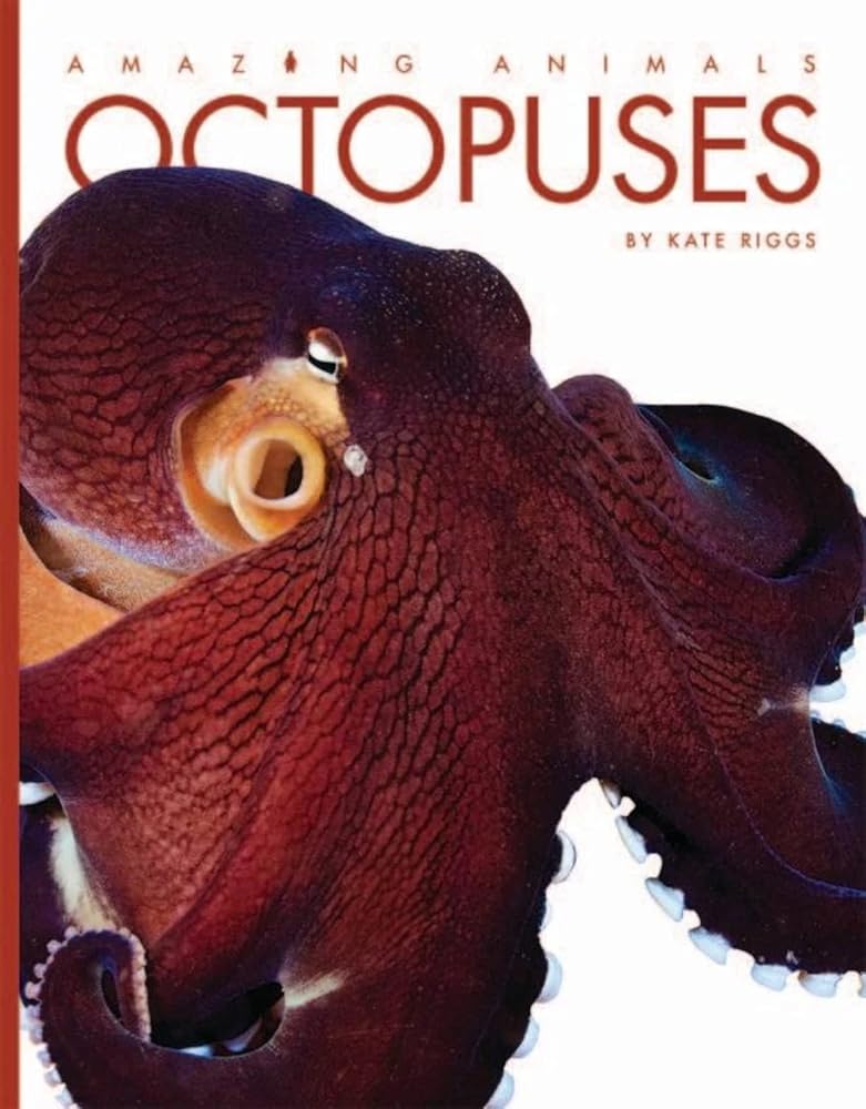 Octopuses (Amazing Animals) cover image