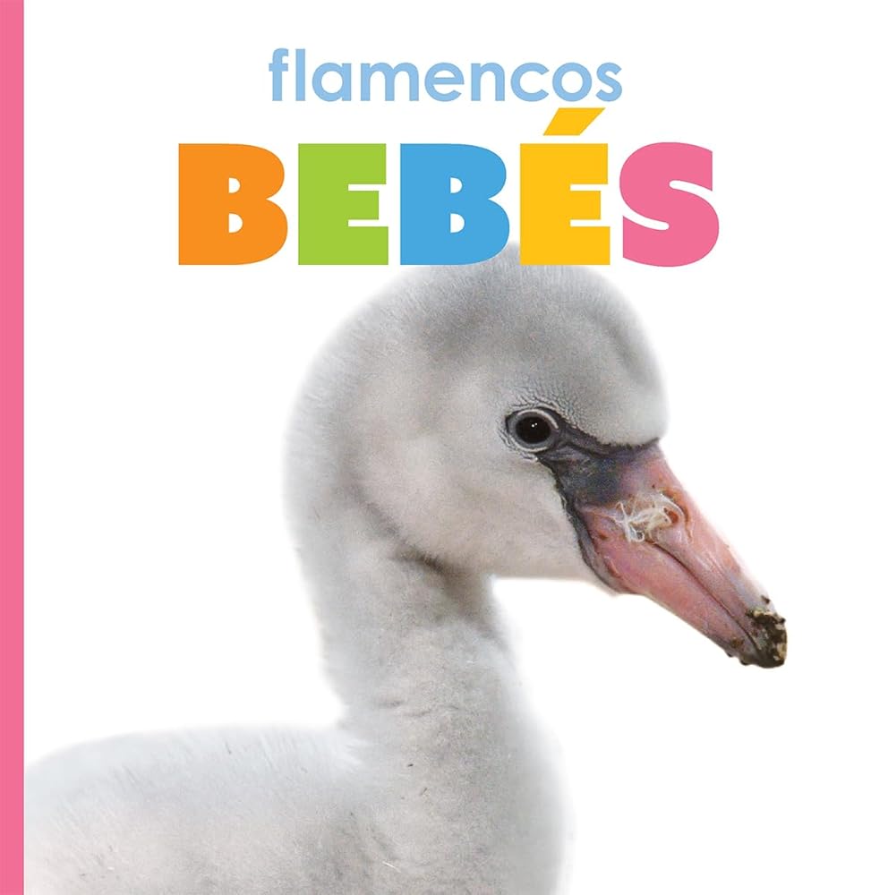 flamencos bebés (El principio de los) (Spanish Edition) cover image