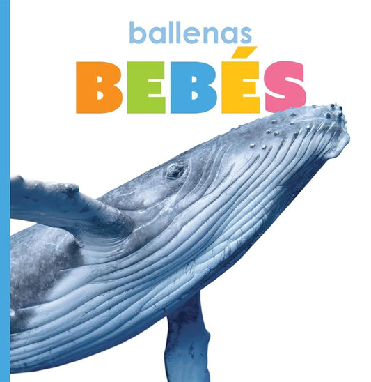 ballenas bebés (El principio de las) (Spanish Edition) cover image