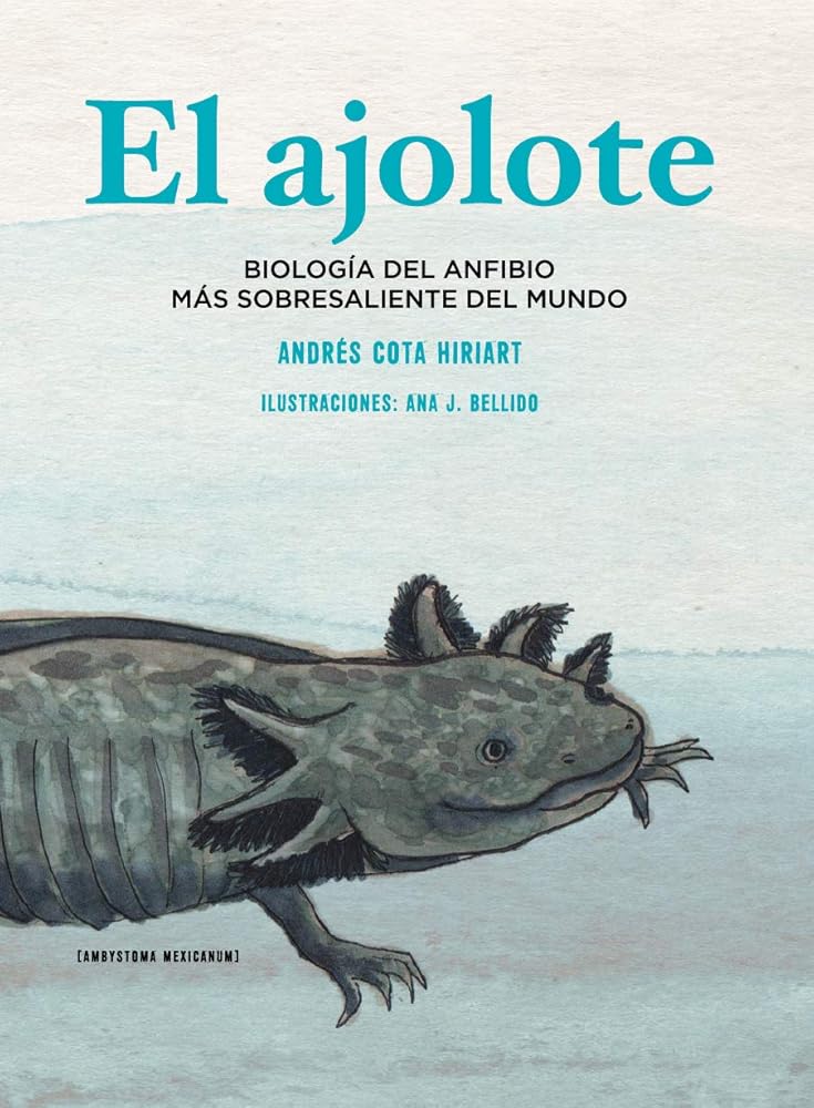 El ajolote: Biología del anfibio más sobresaliente del mundo cover image