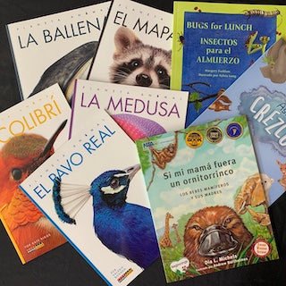 (2nd - 4th) Animals - Los animales!