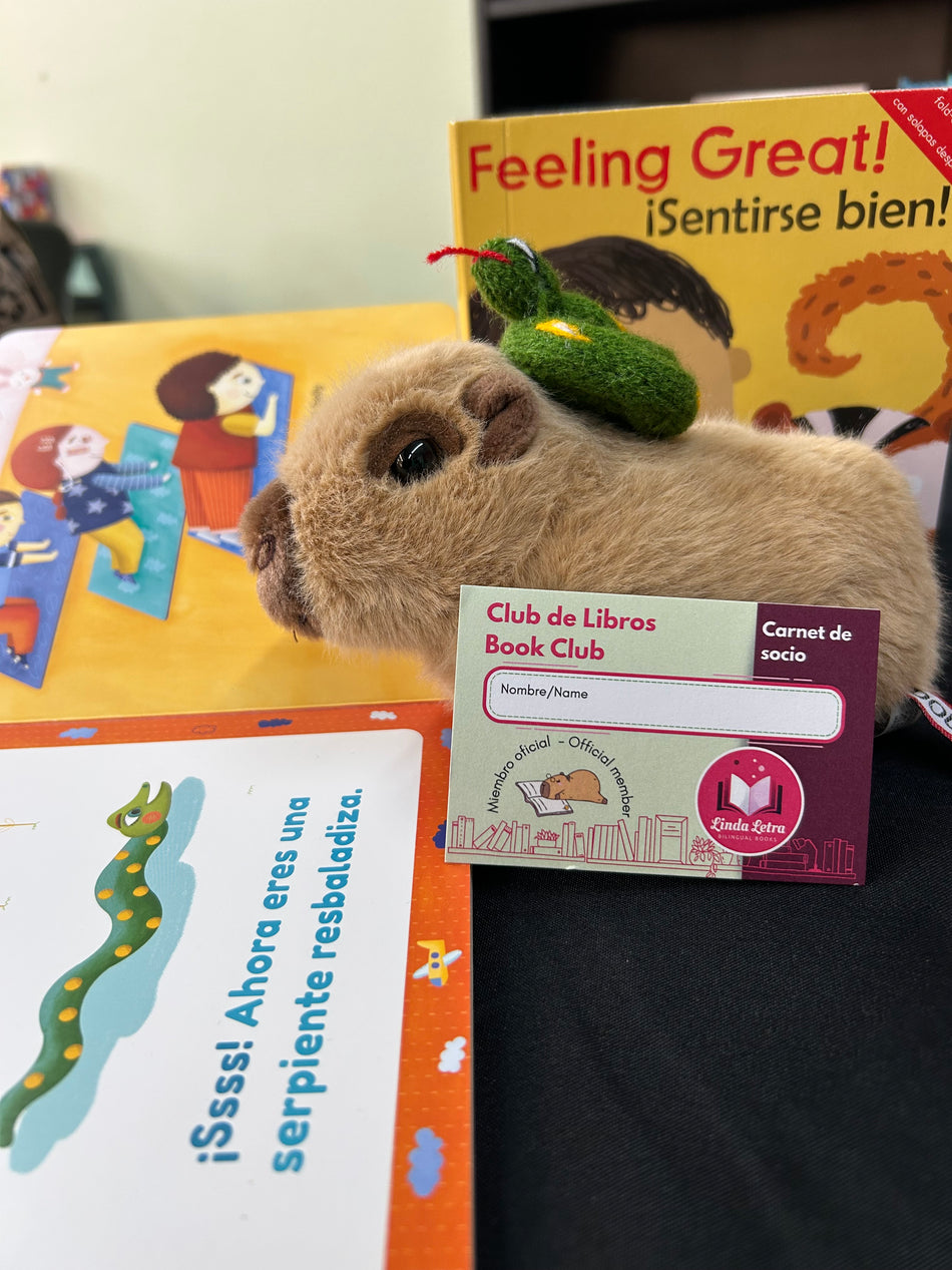 Club de libros de cartón suscripción- Bilingual Board Book Subscription Box  (ages 0 - 3)