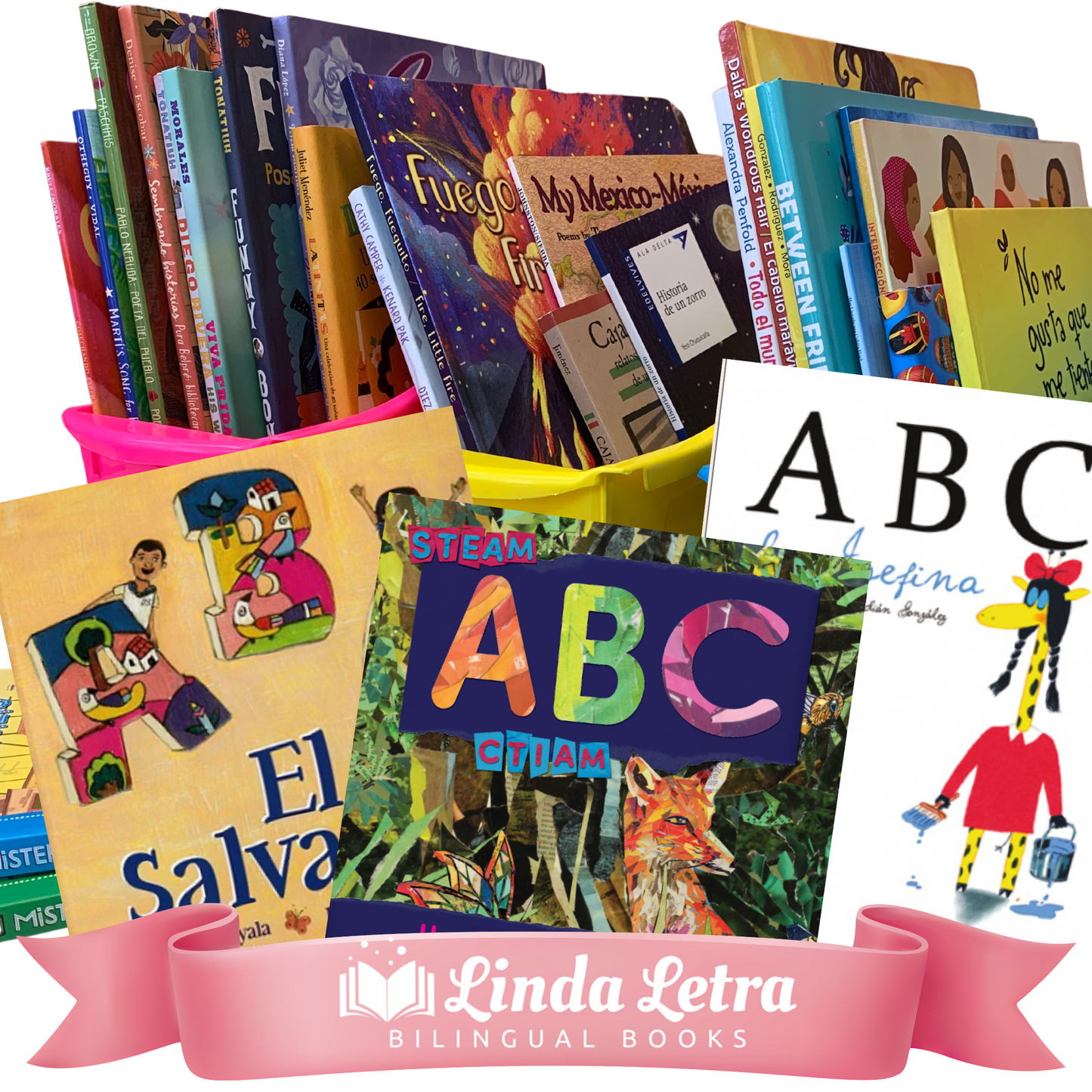Bilingual books for a kindergarten classroom library