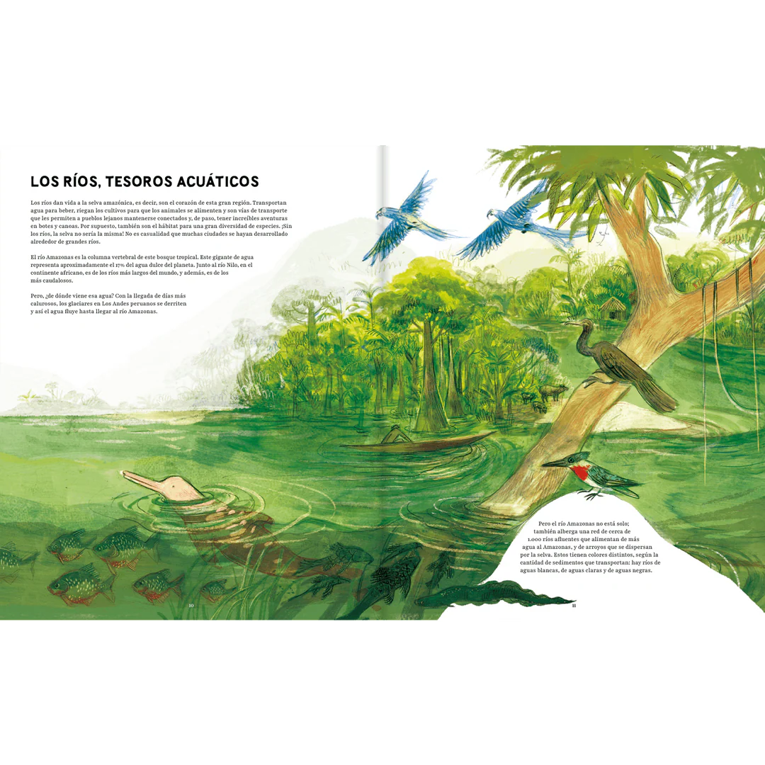 Amazonas