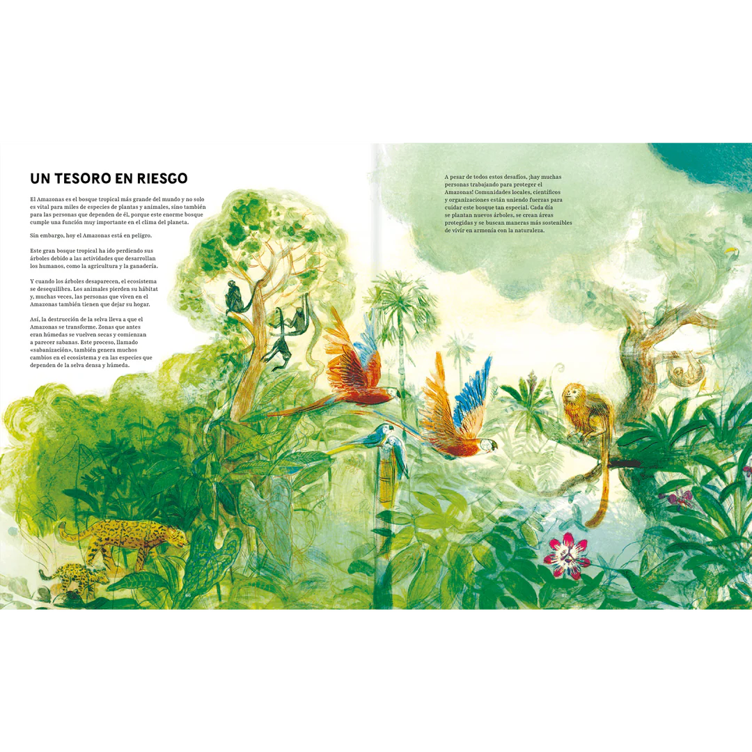 Amazonas