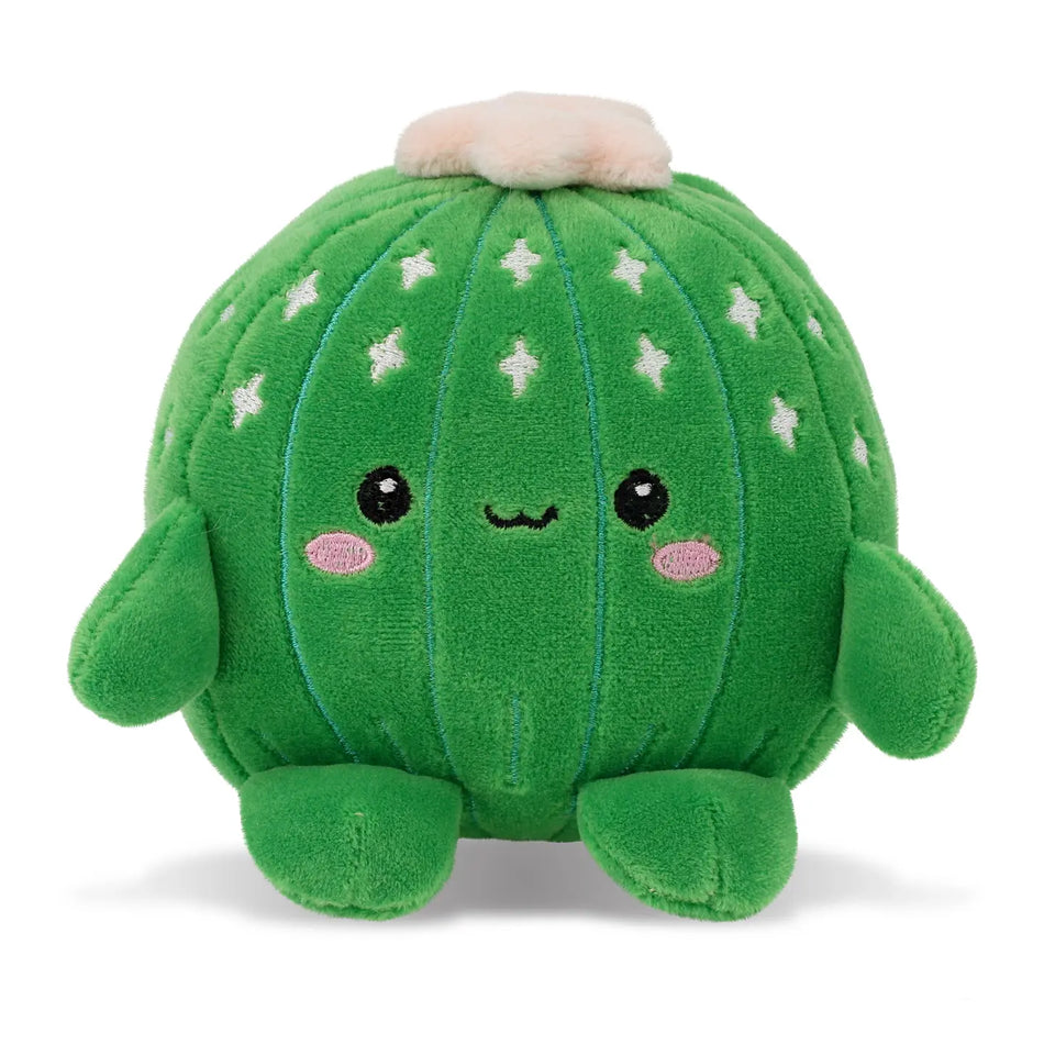 Cactus peluche