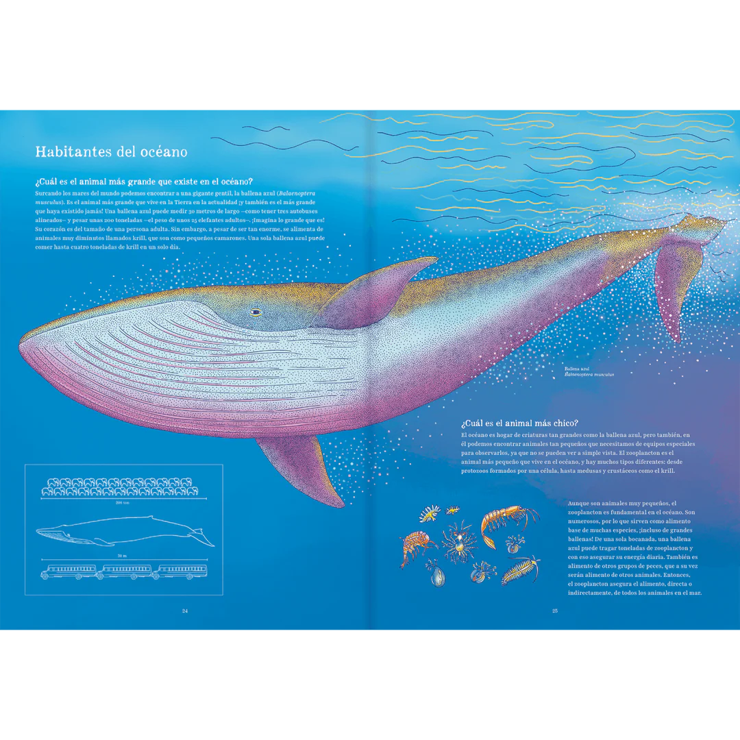 Oceánica
