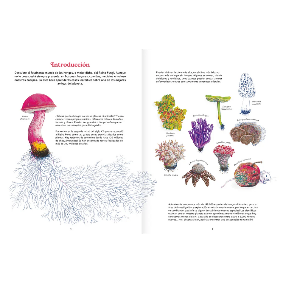 Reino fungi: Mundo entrelazado